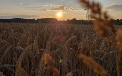 SCUG Lauftreff – 2025 Vereinsausflug