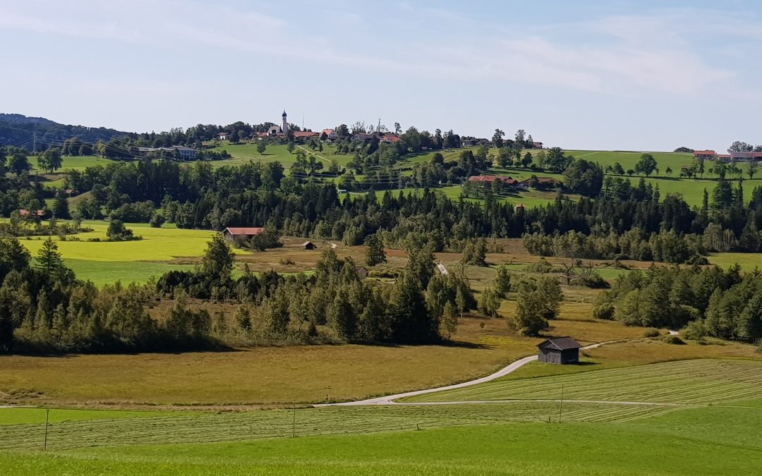 SCUG Lauftreff – Sommersport-Events 2025